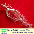 Wild ginseng, dried ginseng Changbai scattered branch, wild ginseng seeds